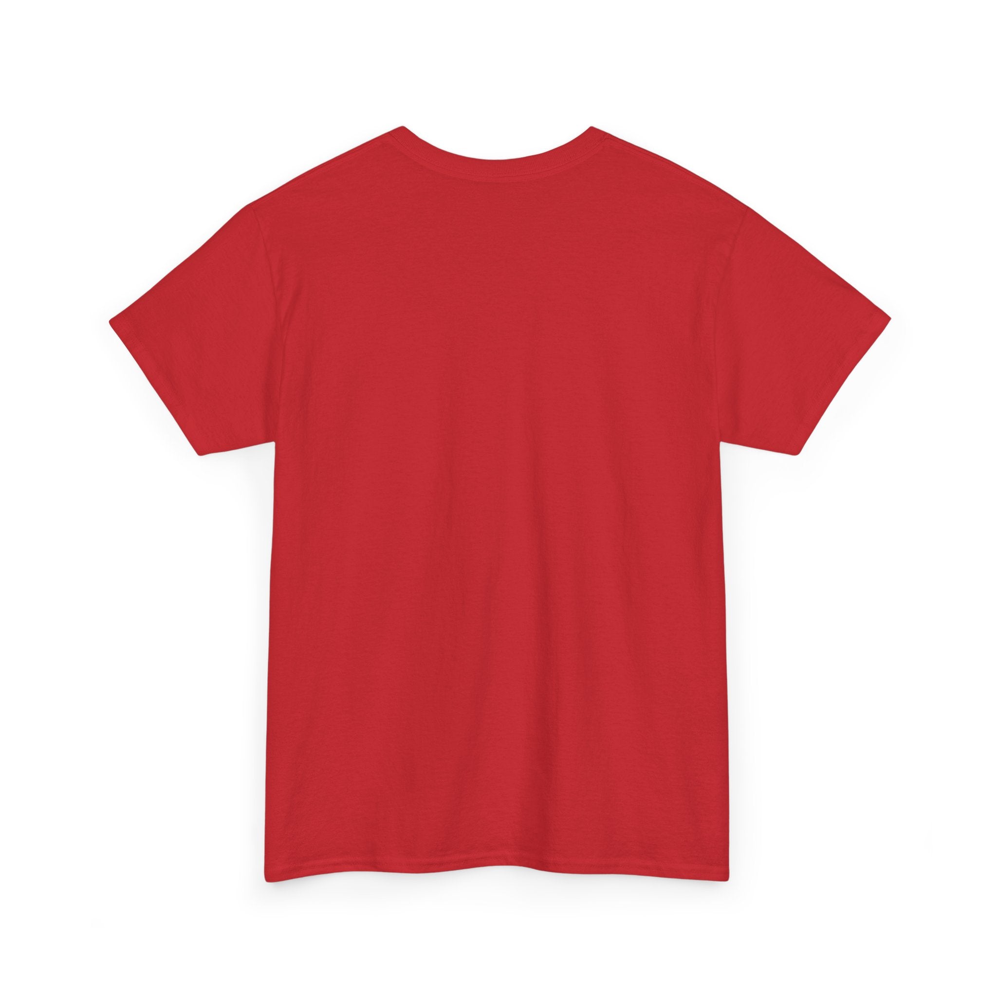 Discipline Inc. Peak T-Shirt – Discipline At Its Peak | Motivational Gym Shirt