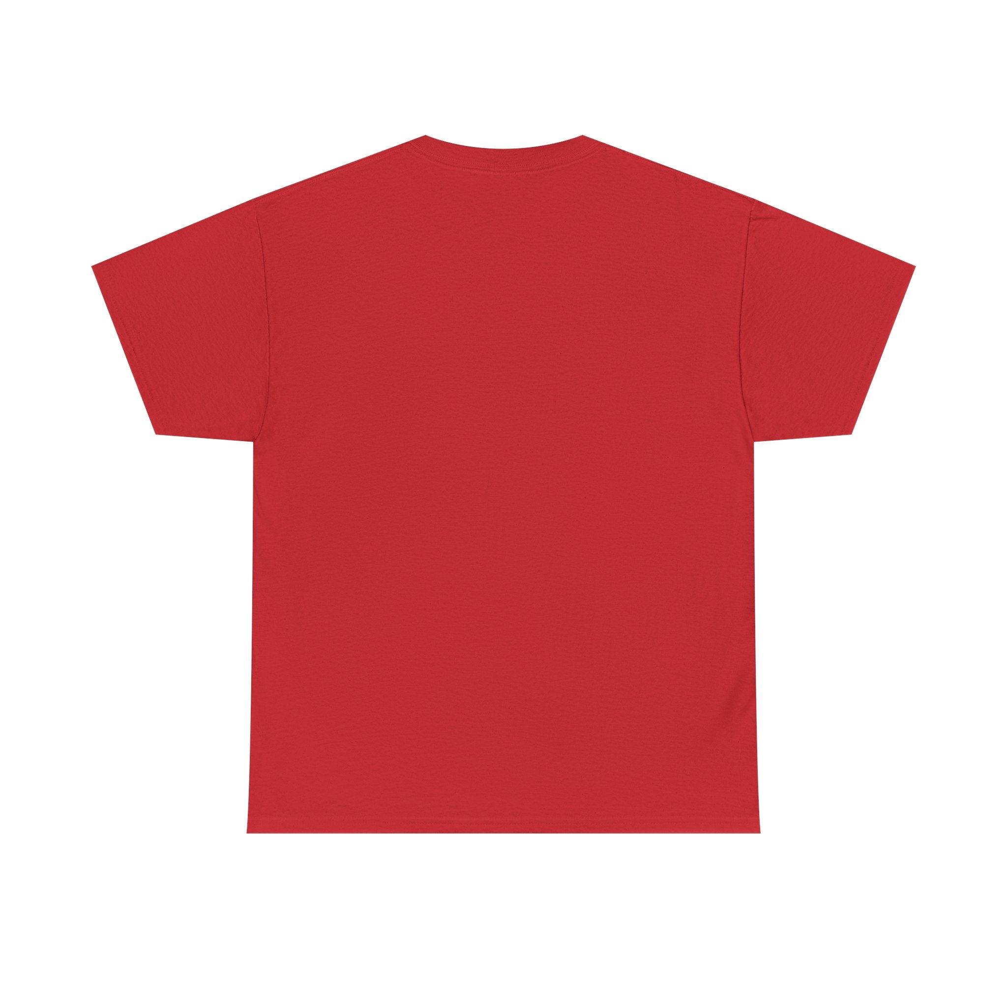 Discipline Inc. Peak T-Shirt – Discipline At Its Peak | Motivational Gym Shirt